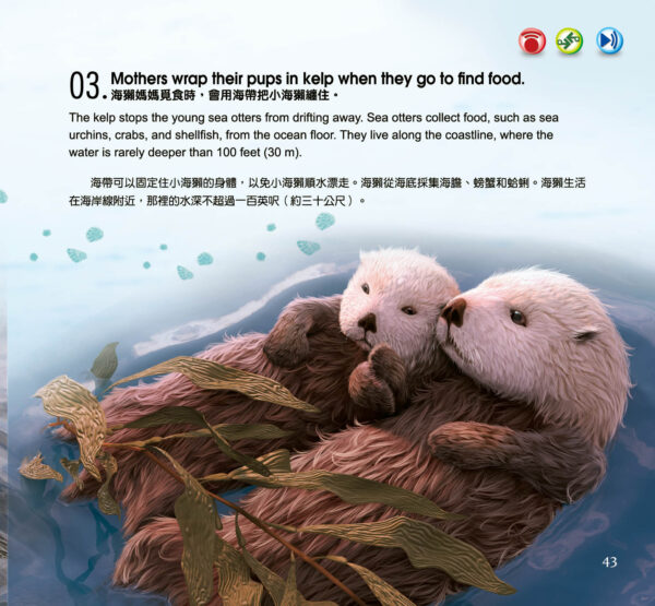 動物星球My Life in the Wild 我的野外生活－1套8本精美繪本＋專屬點讀筆 （下單限量額外贈送可點讀發音的『My English 英文圖解字典』乙本）：圖片 4